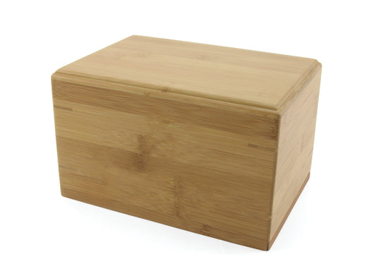 Bamboo Box